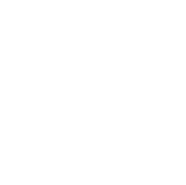 Digital8